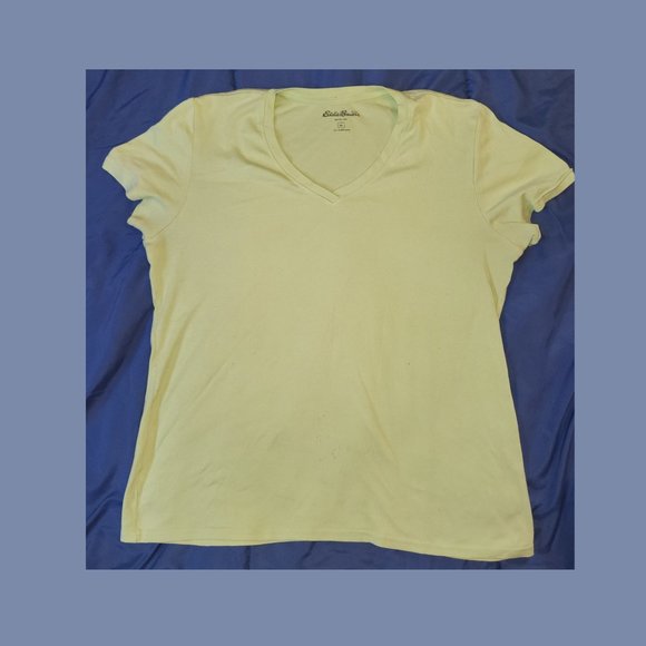 Woman's Eddie Bauer V-neck tee T-shirt sz XL pre-owned - Picture 1 of 3